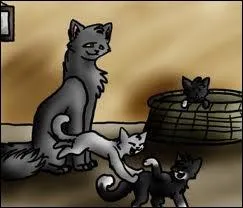 Comment se nomment ses frres et surs ?