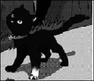 Comment se nomment ses demi-frres et demi-surs ?