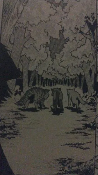 Qui rencontre-t-il dans la fort ?