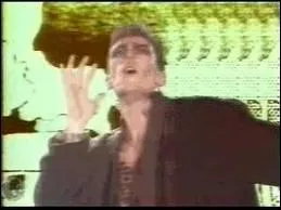 A quel groupe est associé  Tarzan Boy  ?