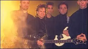 L'anne 1985 fut marque en France par le succs du  Capitaine abandonn . Quel groupe en est le compositeur ?