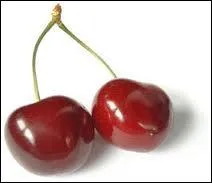 Les cerises quelquefois accroches par deux, dlicieuses et d'une belle couleur rouge, sont les premiers bijoux du jardin et des enfants. On les porte... ?