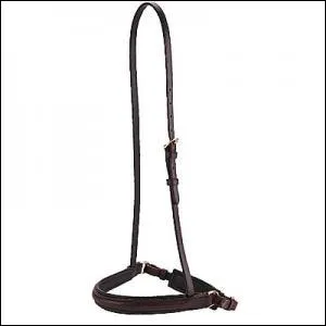 Quel est le nom de cette muserolle ?