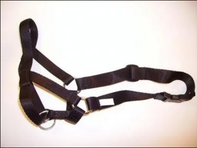 Ce licol sert pour...