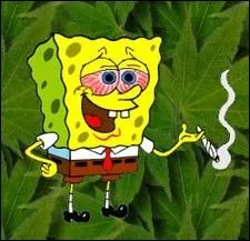 Relevez le mot qui n'existe pas encore dans les dictionnaires.