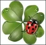 Y a-t-il des superstitieux parmi vous ? Alors, ils ont srement un petit objet afin de conjurer le mauvais sort.