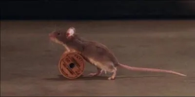 En suivant cette fameuse ligne, vous connaitrez un destin lectrique !