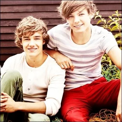 Qui est le plus jeune des One Direction ?