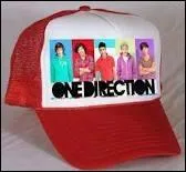 A quelle mission a particip le groupe pour avoir une telle clbrit ?