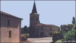 Ceux de Castel-Sarrazin portent le nom de ...