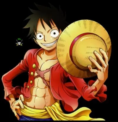 Quel fruit du dmon, Luffy a-t-il aval ?