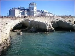 Puerto Madryn est notre dernire escale. O est cette station balnaire ?