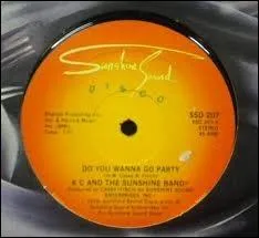 Quel groupe rencontra le succs avec  Do You Wanna Go Party  ?