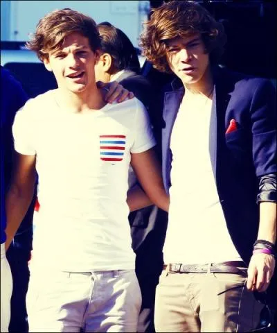 Quelle est cette bromance ?