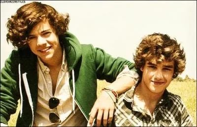 Quelle est cette bromance ?