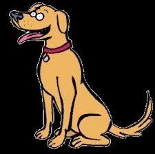 Marcher du pied gauche sur une crotte de chien...