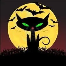 Croiser un chat noir la nuit...