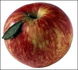 Quel film de Disney cet objet vous inspire-t-il ?