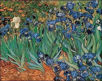 Quand ils sont jaunes, les iris représentent l'emblème de la ville de Bruxelles ; versicolores, ils sont celui du Québec. De qui est cette uvre à l'iris blanc ?