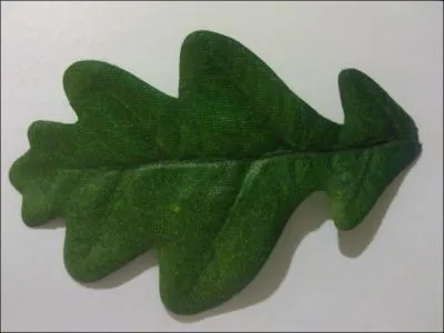 Quelle plante ralentit la progression du poison de la plaie de Frodon ?