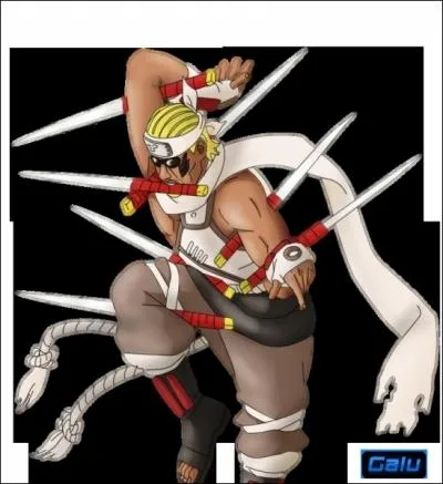 Comment s'appelle le petit-frre du Raikage ?