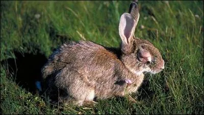 Responsable d'un gnocide, en rapport avec la photo !