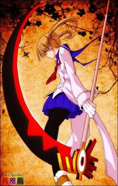 Combien d'mes humaines faut-il pour avoir accs au rang de Death Scythe ?