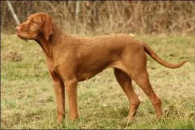 Et enfin, nous finissons avec un ...