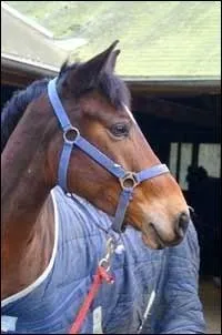 Quelle est cette robe ?