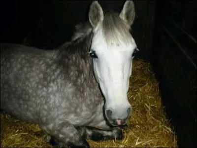 Quelle est cette robe ?