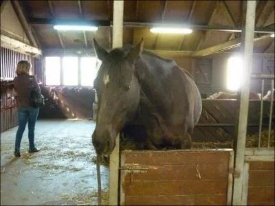 Quelle est cette robe ?