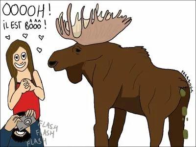 Vous tes un comique franais, vous nous racontez l'histoire de Couillu, le caribou, qui a les profiteroles qui tranent dans la neige !