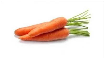 Qui adore les carottes ?