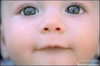 Entre quel ge et quel ge ont-ils ?