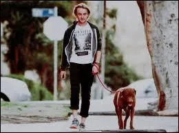 Comment s'appelle la chienne de Tom ?