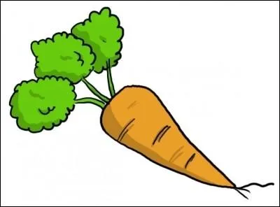 Comment dit-on  une carotte  en anglais ?