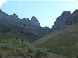 Dans quel massif du sud-est se situe le point culminant du pays, le Mafadi (3 450 m) ?