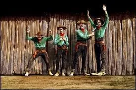 De quelles couleurs sont leurs tenues ?