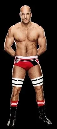 Quelle est la prise de finition de Antonio CESARIO ?