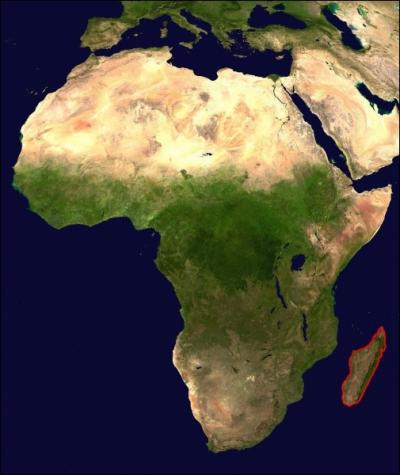 Madagascar est surnommée  Grande Île . Ce surnom lui va bien car elle est la :  