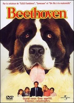 Quelle est la race du chien du film  Beethoven  ?