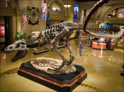 Quelle est la particularit du muse dans  La Nuit au muse  ?