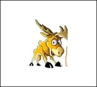 Comment s'appelle l'quipe ayant ce drapeau ?