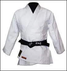 Comment s'appelle la tenue officielle ?