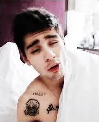 Combien de tatouages a Zayn ?