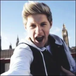 Niall n'a jamais t nu devant une camra.