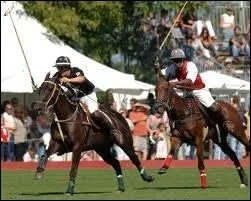 On dit que le polo est :