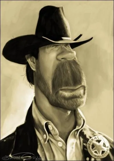 Quel clbre film a vritablement fait exploser la carrire de Chuck Norris, l'homme qui se gratte les oreilles avec ses doigts de pieds ?