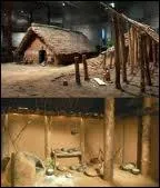 Priode de la prhistoire, le nolithique correspond  l'ge .