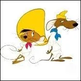 Comment s'appelle le cousin de Speedy Gonzales ?
